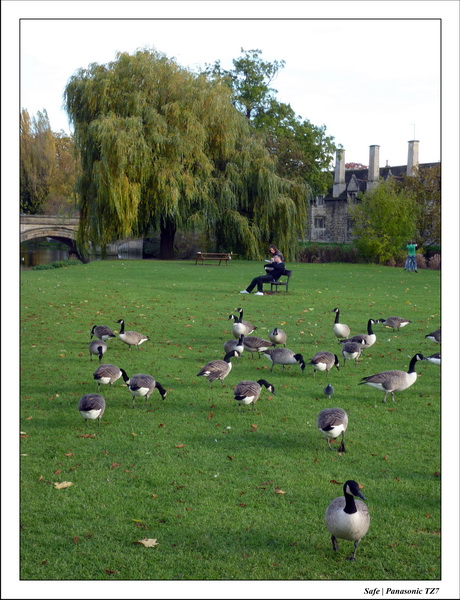 2010 - 10 - Stamford 16